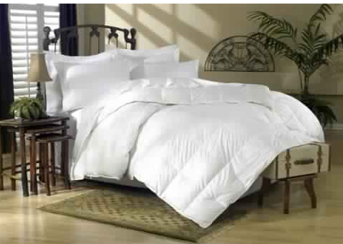 Egyptian Bedding Down Comforter Review